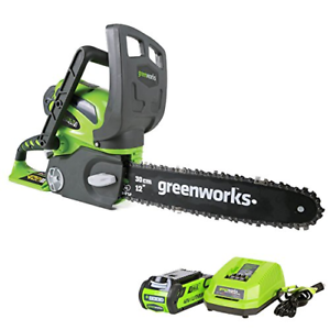 Greenworks 12-Inch 40V Cordless Chainsaw 2.0 AH Battery and Charger Included 