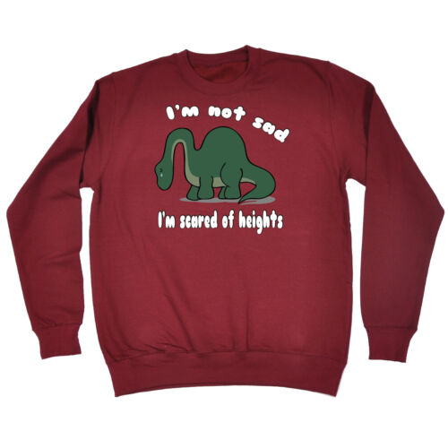 Not Sad Scared Of Heights SWEATSHIRT birthday gift fashion dinosaur cute funny
