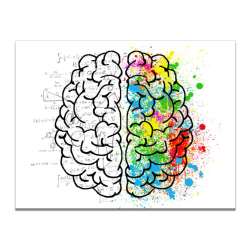 Brain Memory Structure Canvas Poster Living Room Wall Picture Home Art Decor