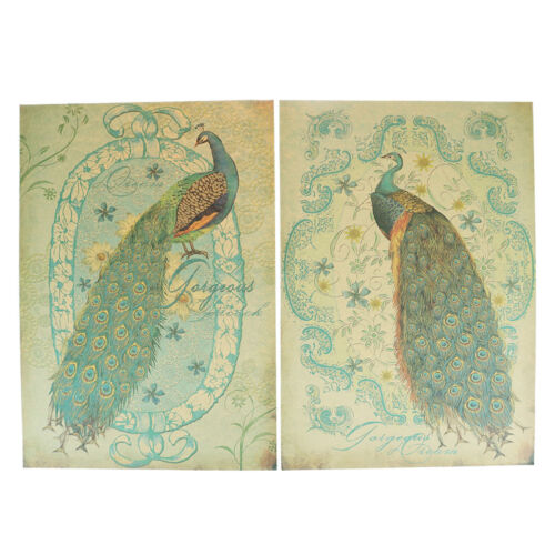 Details about  &nbsp;Peacock Wall Sticker Classic Bars Hotels Decors Vintage Kraft Paper Posters.hc