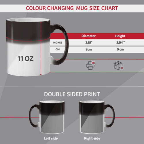 How Planes Fly NEW Colour Changing Tea Coffee Mug 11 ozWellcoda