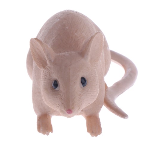 Realistic Animal Model Figure Figurine Kids Toys Home Decoration Collections