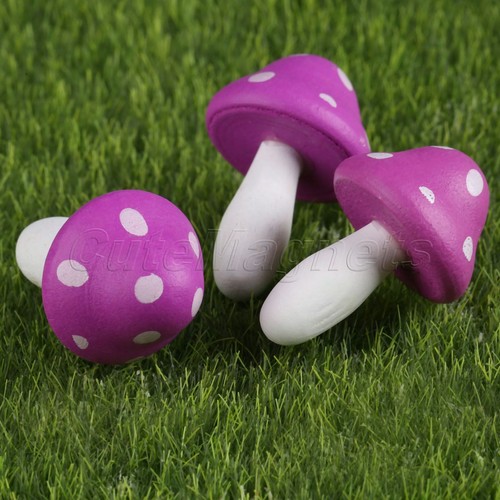 Mini Mushroom House Plant Pot Bonsai Garden Ornament Fairy Dollhouse Lawn Decor