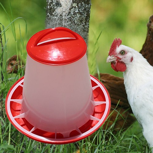 1.5kg Red Plastic Feeder Baby Chicken Chicks Hen Poultry Feeder Lid/&HandleSNpop