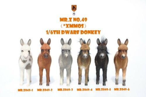 Details about  / Mr.Z MRZ049 1//6 Dwarf Donkey Static Animal Resin Statue Figure Model Toys