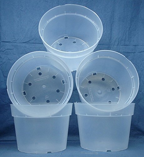 Clear Plastic Pot for Orchids 7 1//2 inch Diameter