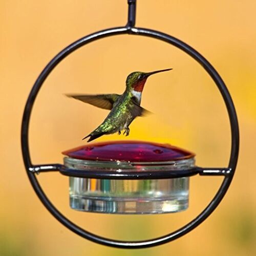 Couronne Hummingbird Feeder Glass and Metal Hanging Sphere NEW REPLACEMENT GLASS 