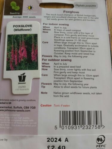 Foxglove Wildflowers by Johnsons Approx 2000 Seeds Per Pack