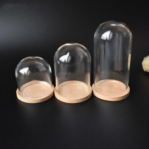 Miniature Glass Dome Display Bell Jar Wood Base Mini Doll Stand Cover Landscape 