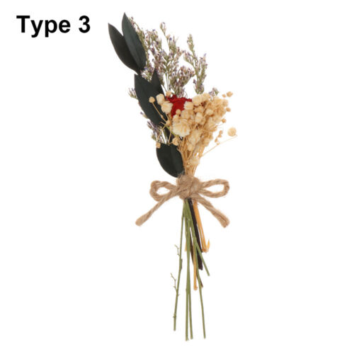 Photo Props Plant Stems Natural Dried Bouquets Mini Real Flower Gypsophila 