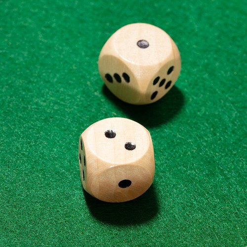 4 Sided Large Game Shut the Box Game Wooden Board Dice Toy Family Traditional US