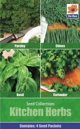 SEED Collection Pack Kitchen HERB Seeds CORIANDER CHIVES /& BASIL PARSLEY
