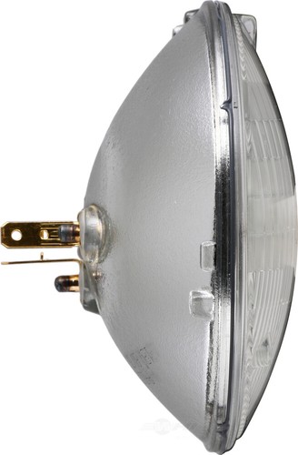 Headlight Bulb-Convertible Philips 4000C1