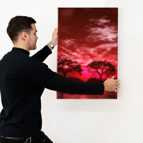 Red Black White Tree Nature Portrait Scenic Canvas Wall Art Large Picture Prints