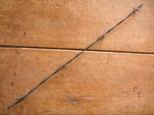 CURTIS 4-POINT HALF ROUND RED BARBS on ONE of TWO LINES ANTIQUE BARBED WIRE 