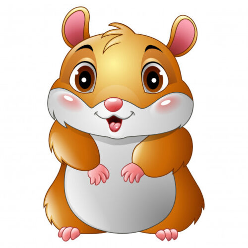 Hamster Round Edible Cake Topper Decoration Personalised