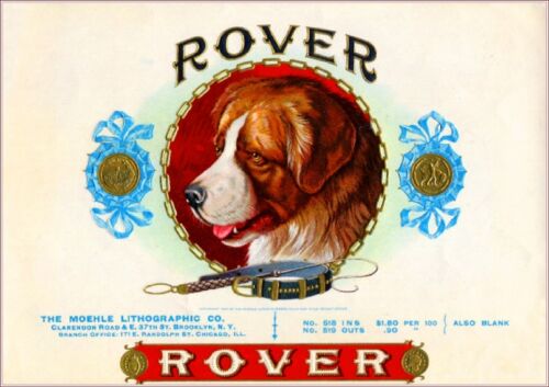 Rover Saint Bernard Dog Vintage Smoke Cigar Box Crate Inner Label Art Print