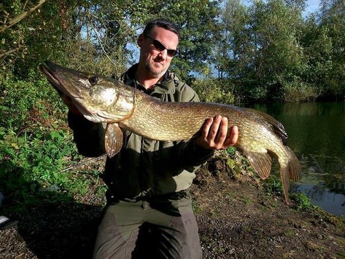 X large 8/" swimbait jointed Leurre de pêche multi photo réaliste et action