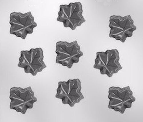 Maple Leaf Leaves Chocolate Candy Mold #13025 