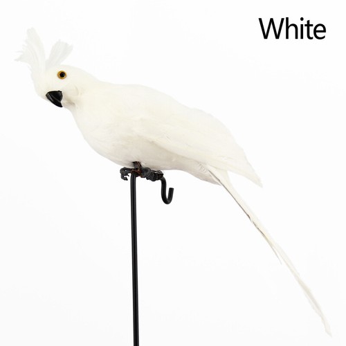 25//35cm Simulated Parrot Home Bird Decor Artificial Colorful Simulation Fashion