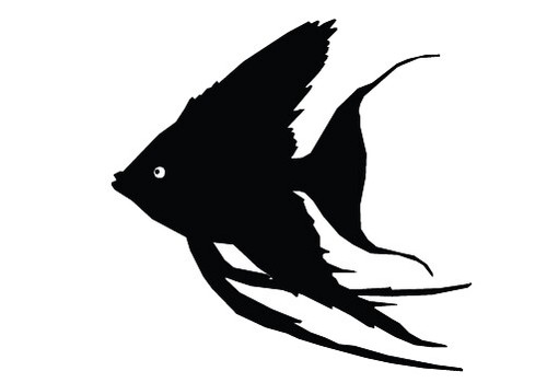 Die Cut Vinyl Decal Tropical Angel Fish Oceanlife DIY 20 Colors Car Truck #190