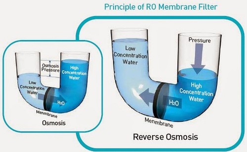 Tap Water Cleansing Filter RO Membrane Household Water Purify 1812-24 GPD