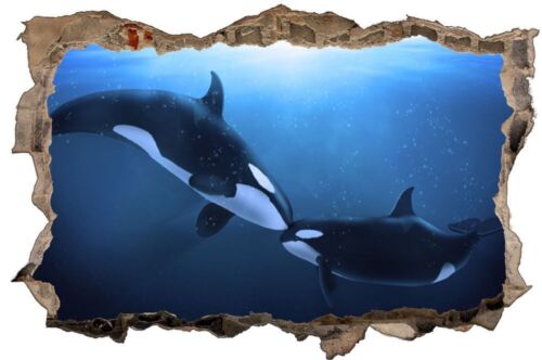 ORCA KILLERWAL baleine Mural Sticker Autocollant d0676