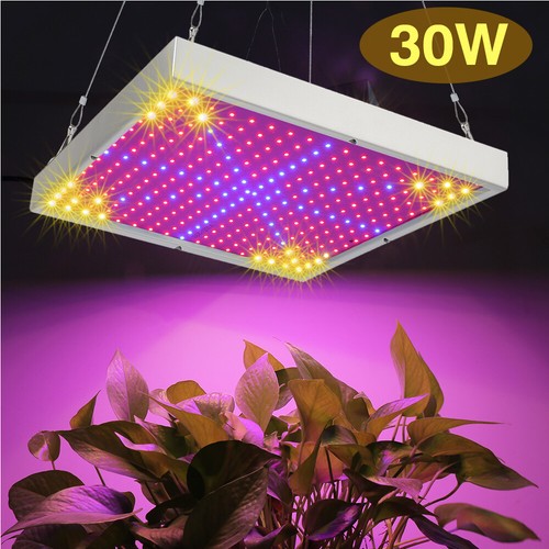 30W LED Plant Grow Lights Panel 290 LEDs Indoor Plants Growing Lamp 308x308x35mm