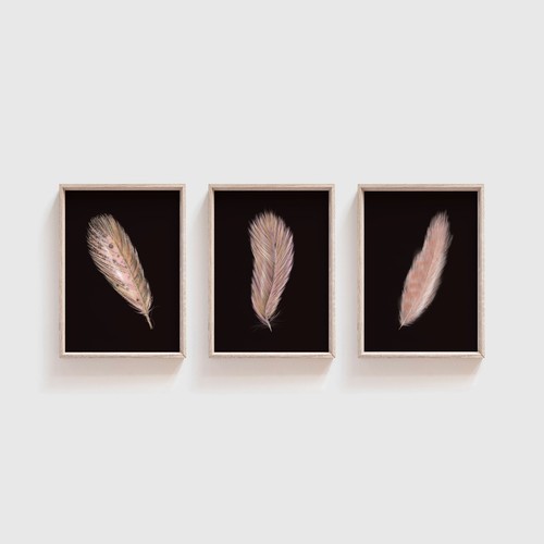 Decor Rose Pink Feather Print Set Minimalist Pictures for Living Dining Room