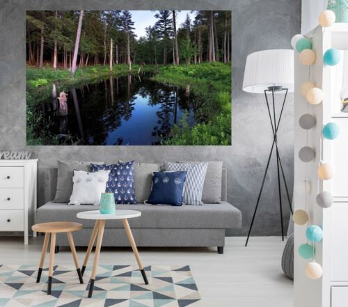 Details about   3D Forest Trees 202RAI Wall Stickers Wall Mural Decals Jerry LoFaro Honey 