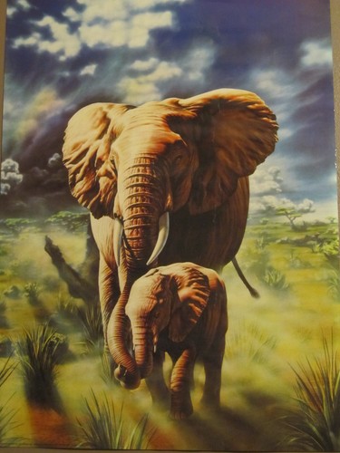 AFRICAN ELEPHANT AND CALF POSTER PRINT ADRIAN CHESTERMAN 1992 39