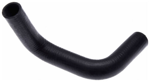 Radiator Coolant Hose-Molded Upper,Lower ACDelco Pro 20078S 
