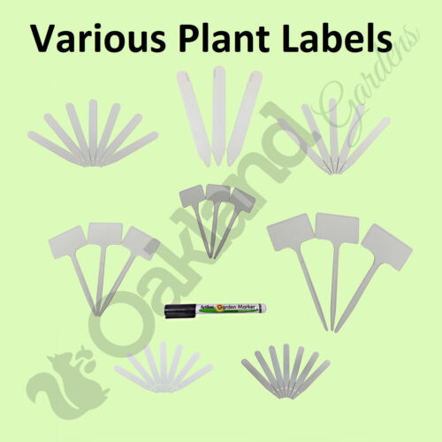 Details about  / 10 x 25cm White Tee Labels Large Plastic Plant T Bed Sign Marker Pen
