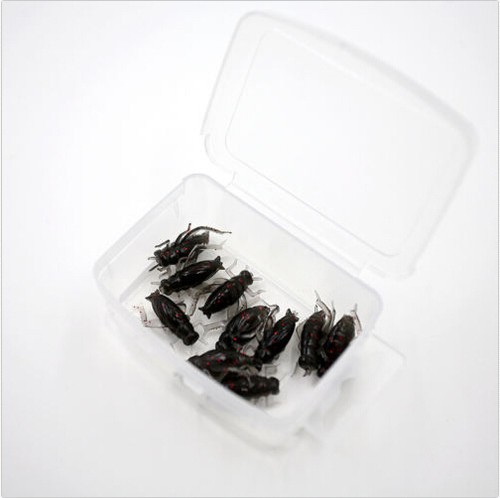 10 x Black Soft Plastic Crickets Plastic Box Insects Fishing Bait Fake Lure