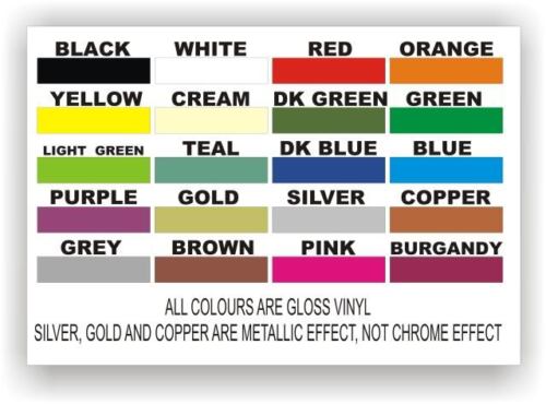 Side /& Windscreen Number//Name Fluorescent Car Sticker Graphics Trackday set pack