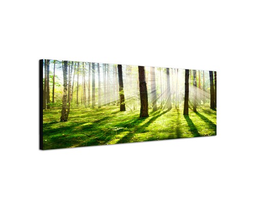 Dekoration 150x50cm Wandbild Panorama Morning Sun Sonnenstrahlen Im Wald Sinus Art Leinwand Mobel Wohnen Flipelo Org Br