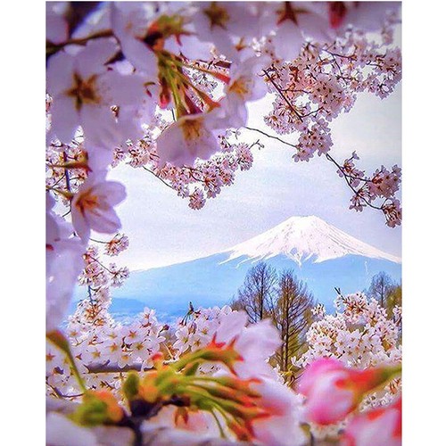 Taladro Completo Kit De Pintura De Diamante como Cross Stitch Cherry Blossom floración ZY122B