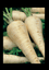 Parsnip 100-2000 Seeds Improved Hollow Crown Heirloom Creamy Bulk Nutty DIY