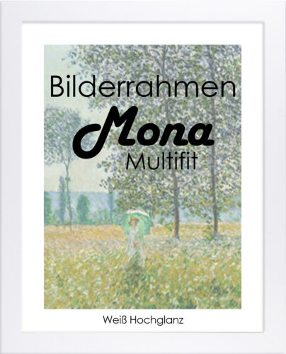 Bilderrahmen Mona MULTIFIT 20x26 cm mit weißer Rückwand 26x20 cm Foto Poster 