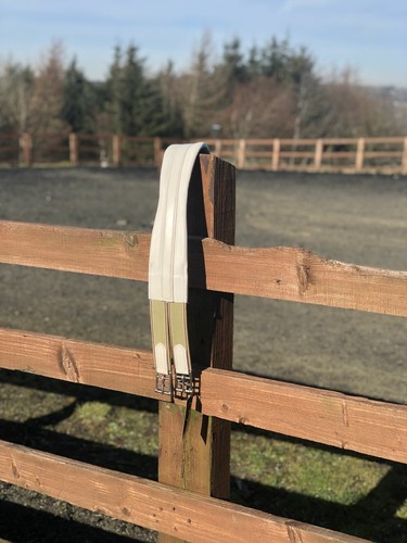 DESIGNED FOR THE RING! White leather girth