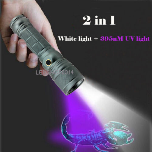 2 in 1 Dual LEDs White Light T6 Zoomable Rechargeable UV Black Light Flashlight