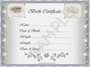 pearl amp diamond birth certificate certificates 4 reborn fake birth certificate creator