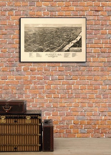 16x24 Bird/'s Eye View 1885 Albany Georgia Vintage Style City Map