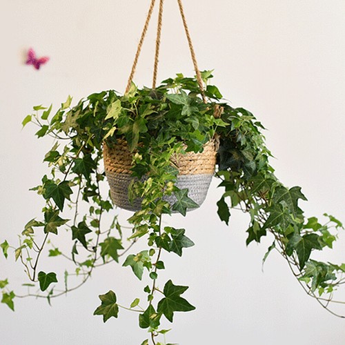 Suspension fleur panier paille panier suspendu tissage pot de fleur en rotin panier