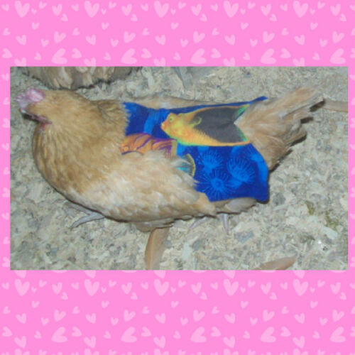 1 SUPER WIDE /& LONG CHICKEN SADDLE APRON HEN FEATHER PROTECTION HATCHING EGGS
