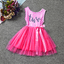 1st 2nd Third Birthday Dress Girls Toddlers Outfit Tutus Dresses Princess Party