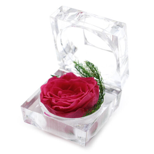 immortal preserved fresh flower rose ring box eternal weddings valentine/'sgiftAQ