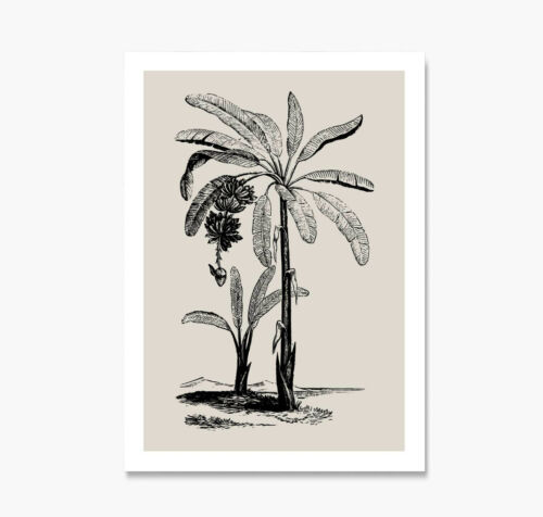 Coastal Palm Print Poster on The Block Luke & Jasmin Room Banana Tree or Canvas 
