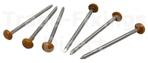 40 x Pasadores de roble PVC Poli Top 2.00mm//Uñas Plástico Cabeza De Acero Inoxidable A4