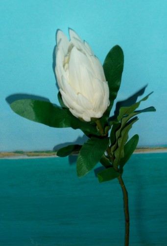 künstliche Blumen-Deko Seidenblumen Protea weiß Kunstblumen